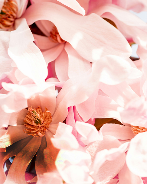 Special offers image